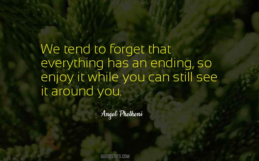 When I See You I Forget Everything Quotes #158218