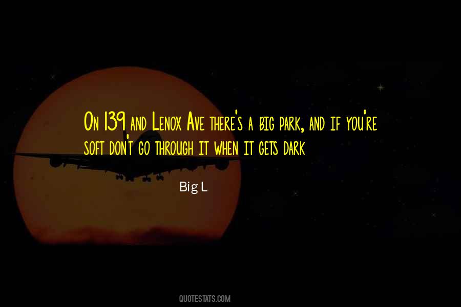 When It Gets Dark Quotes #317906