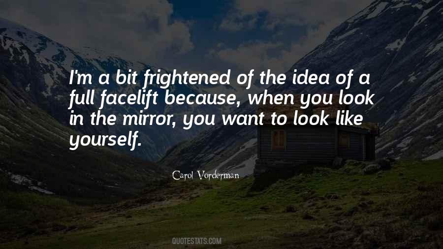 When You Look In The Mirror Quotes #331041