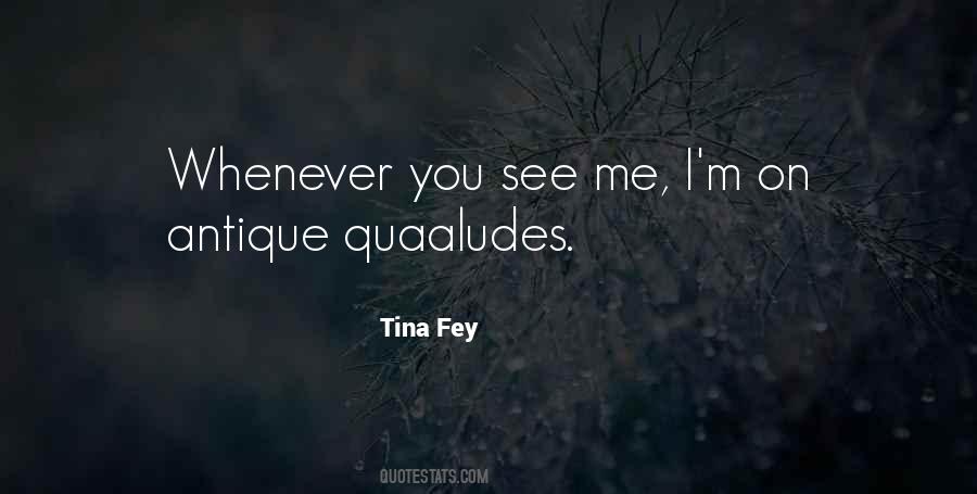 Whenever I See You Quotes #1790470