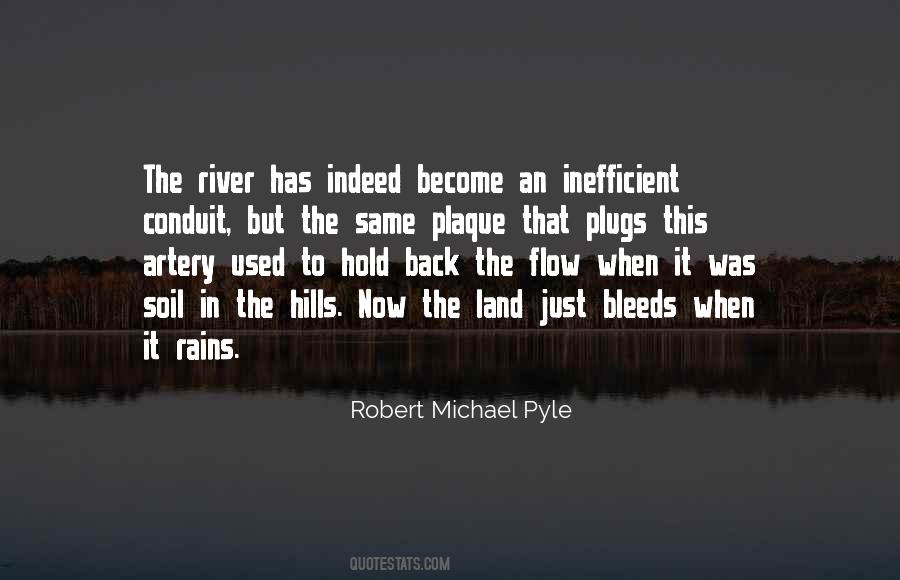 Whenever It Rains Quotes #202451