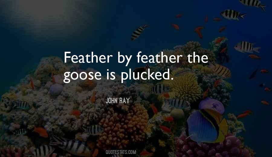 Quotes About Goose #1757307