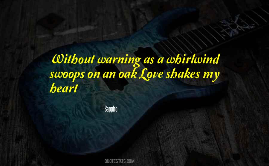 Whirlwind Love Quotes #1171829