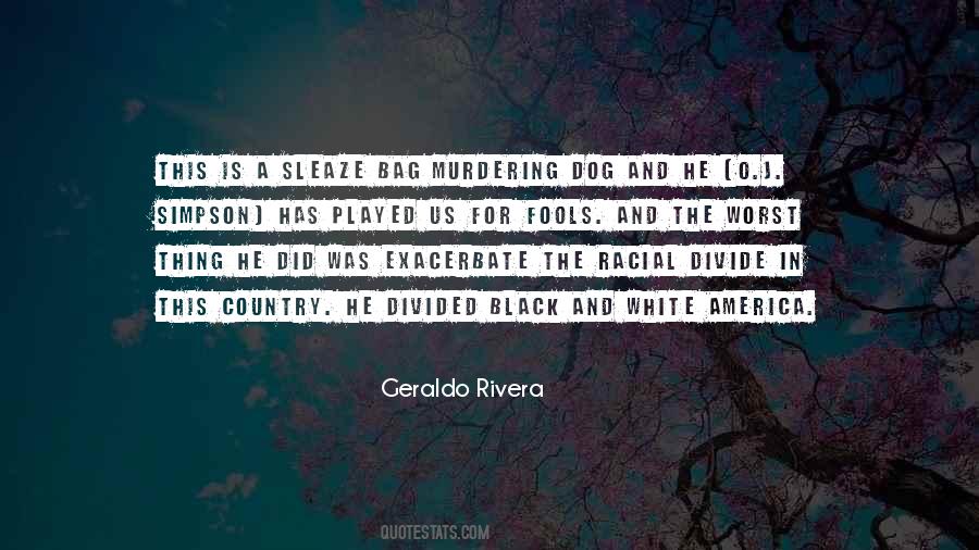 White America Quotes #1418548