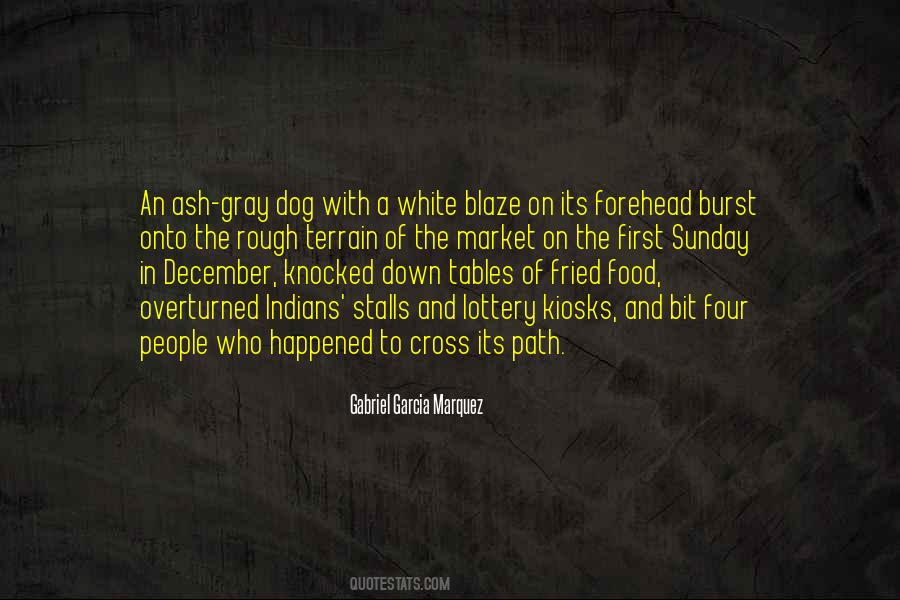 White Dog Quotes #1626370