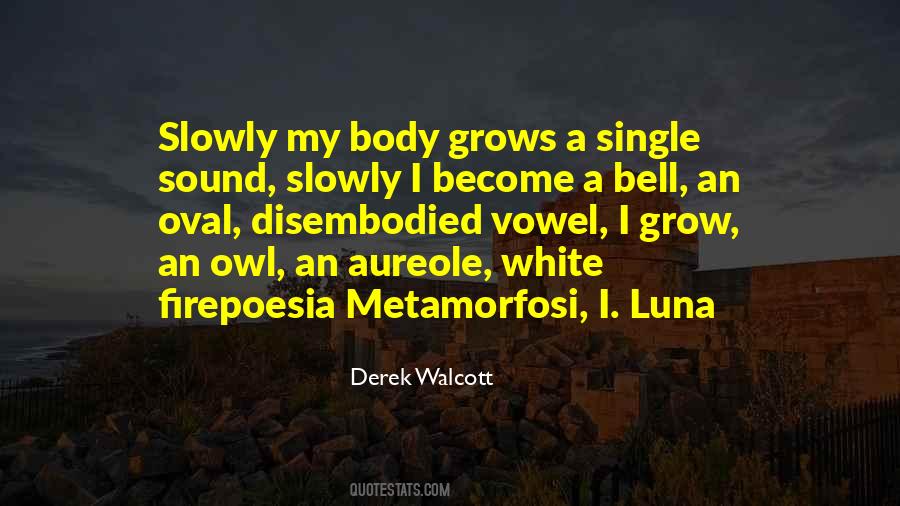 White Owl Quotes #1627327