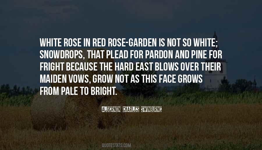 White Rose Quotes #1213312