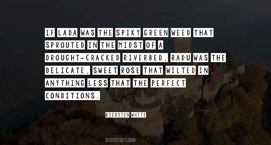 White Rose Quotes #601694