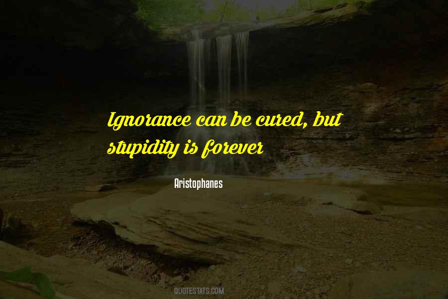 Whitsun Weddings Quotes #1232240