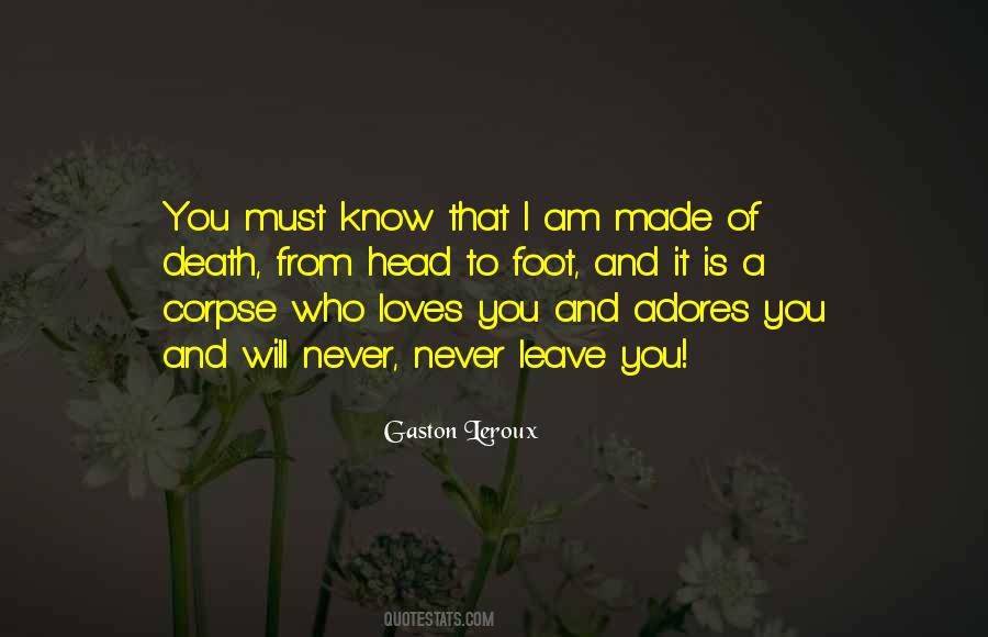 Who Am I To You Love Quotes #1449292