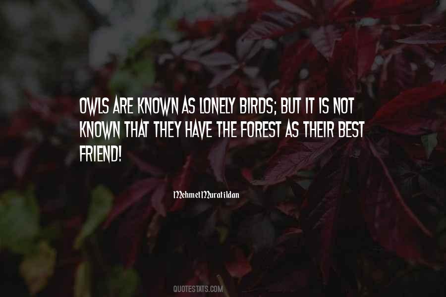 Quotes About Lonely Friend #166447