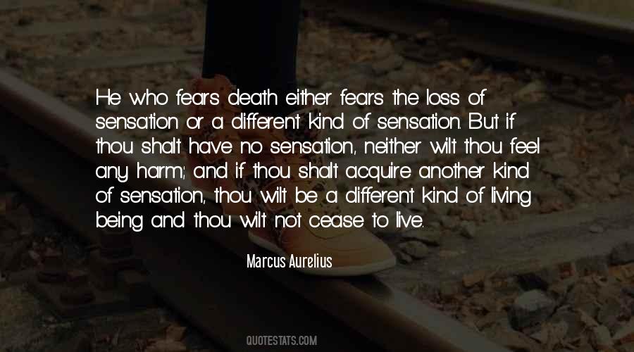 Who Fears Death Quotes #513637