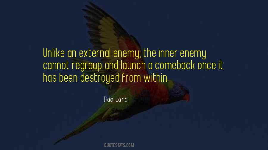 Quotes About Enemy Within #876469