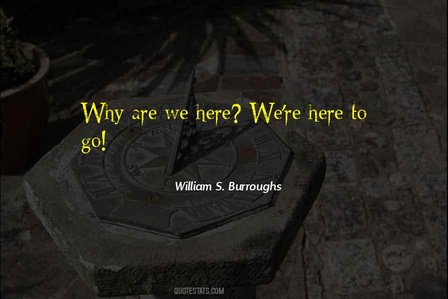 Why Are We Here Quotes #1042794
