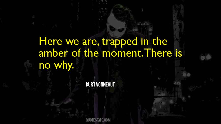 Why Are We Here Quotes #99818