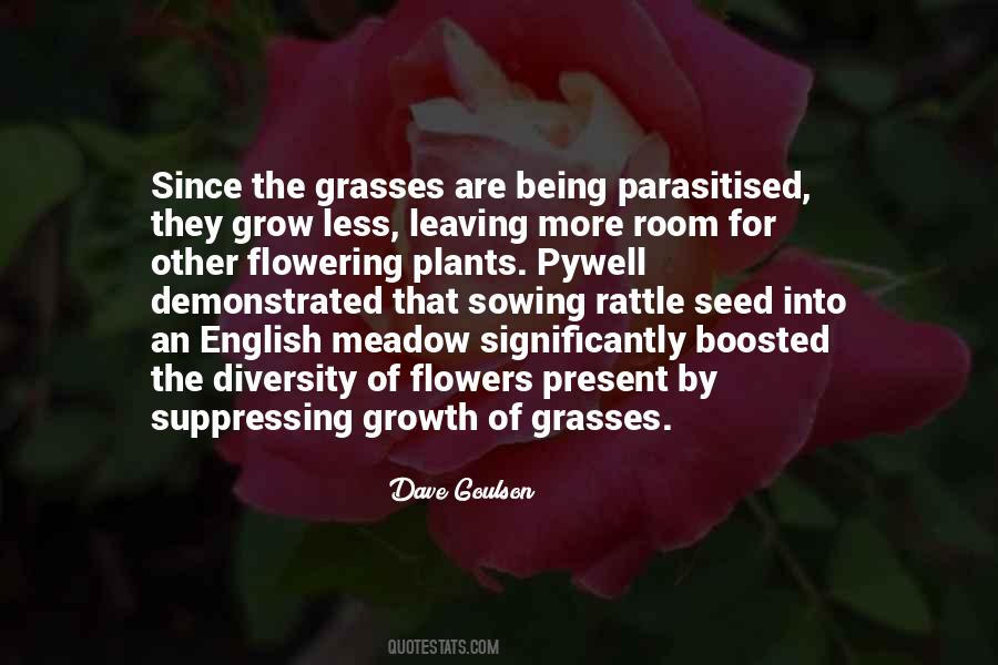 Quotes About Sowing A Seed #1389205
