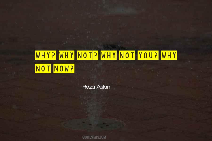 Why Not You Quotes #1409111