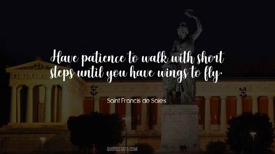 Why Walk When You Can Fly Quotes #252121