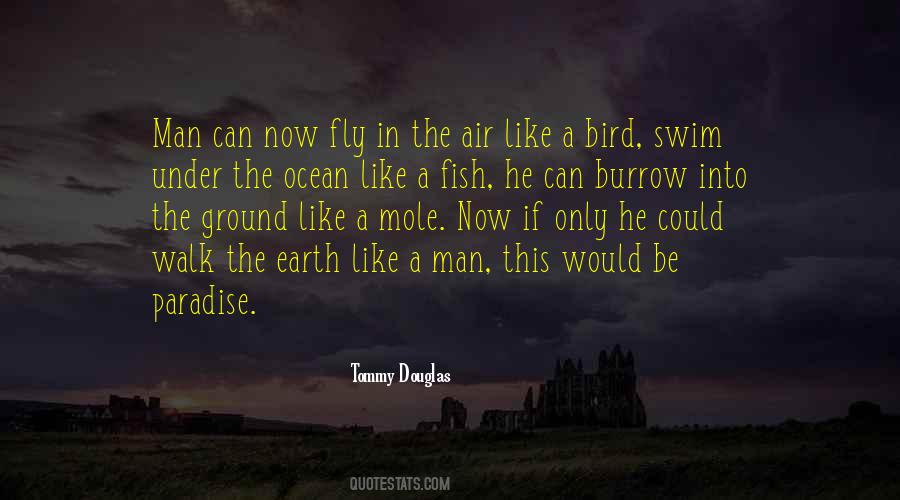 Why Walk When You Can Fly Quotes #285094