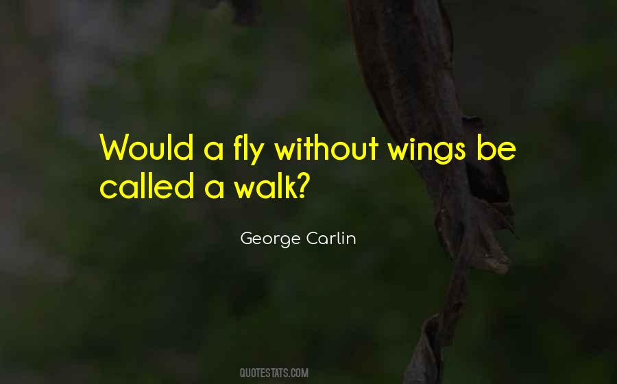 Why Walk When You Can Fly Quotes #424676