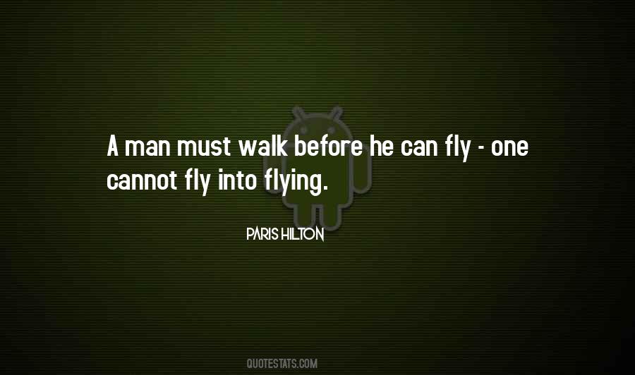 Why Walk When You Can Fly Quotes #506101