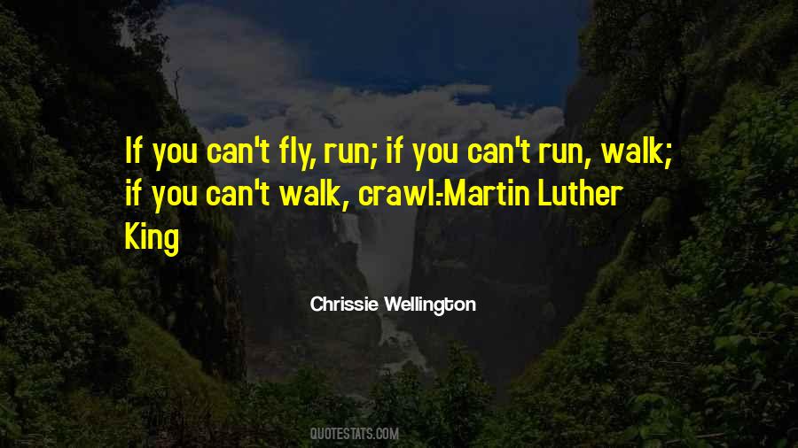 Why Walk When You Can Fly Quotes #551952