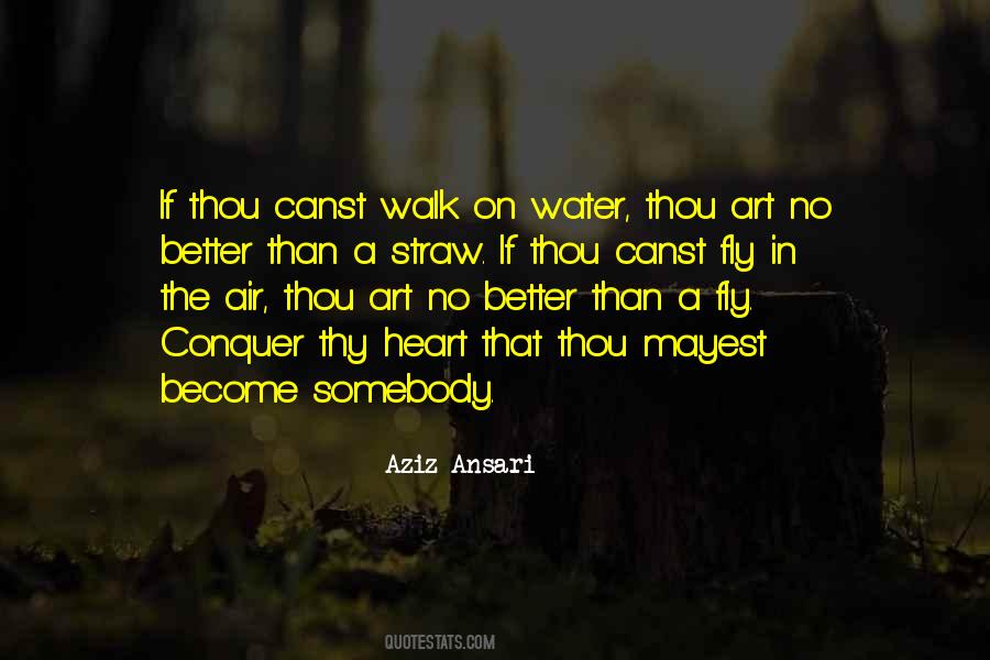 Why Walk When You Can Fly Quotes #66994