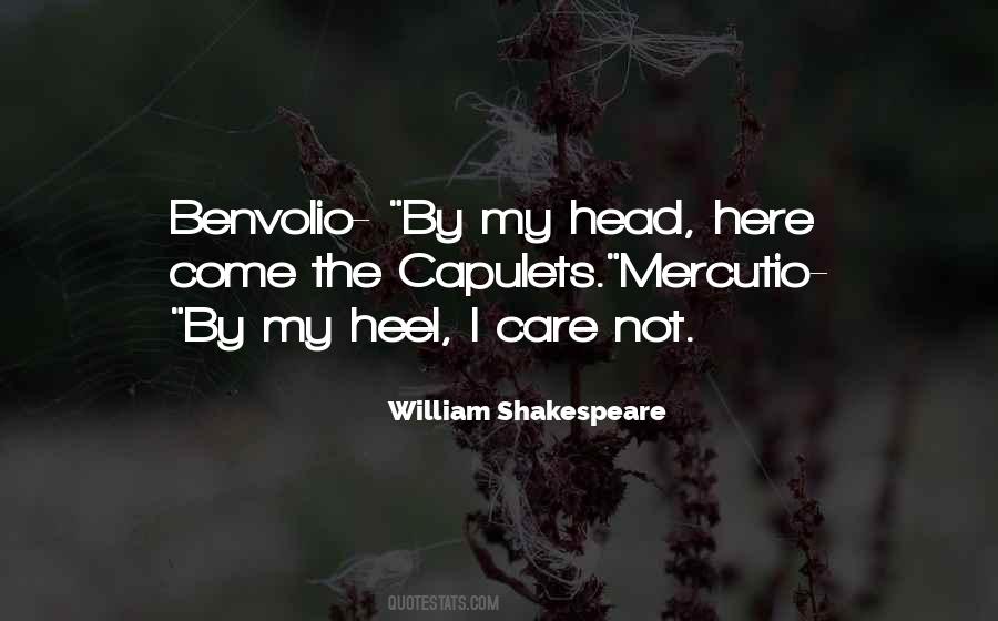 Quotes About Mercutio #132731