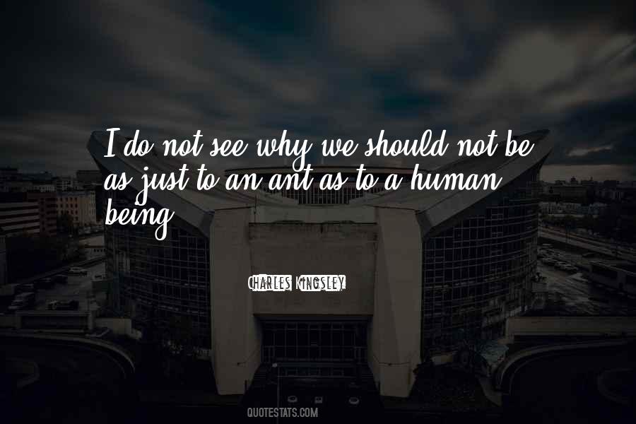 Why Why Not Quotes #11897