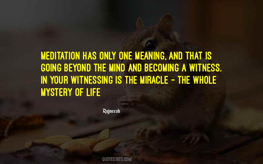 Quotes About A Miracle #90664 Quotes About A Miracle #90664