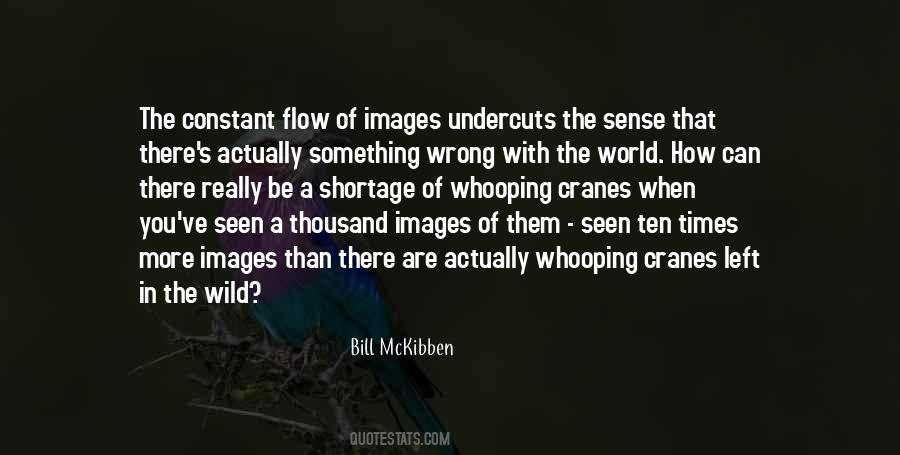 Wild Bill Quotes #1536827
