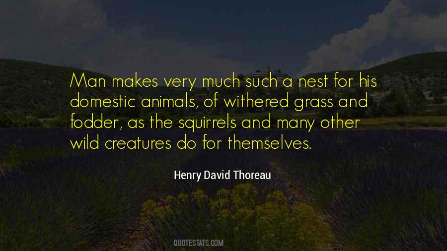 Wild Grass Quotes #1871939