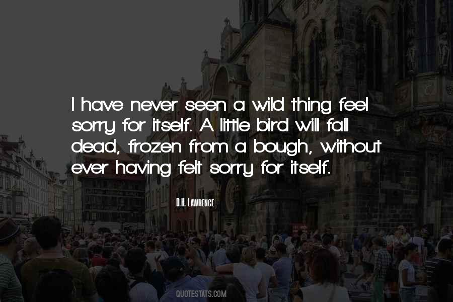 Wild Thing Quotes #502946