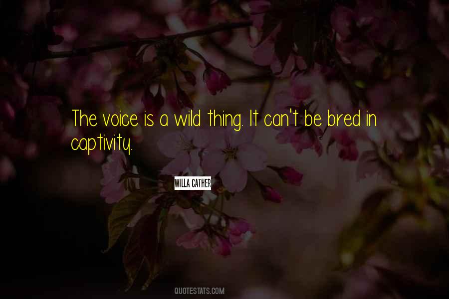 Wild Thing Quotes #774869