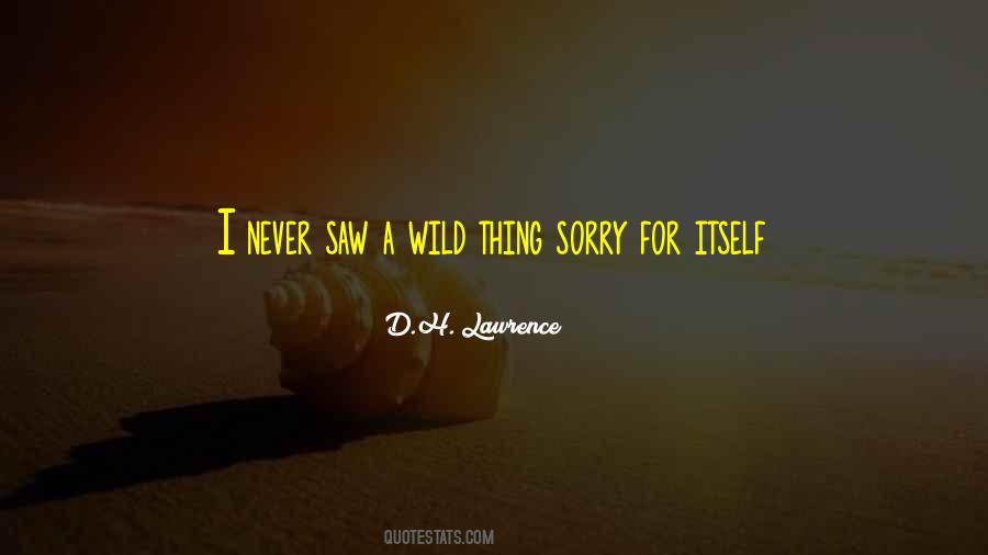 Wild Thing Quotes #911197