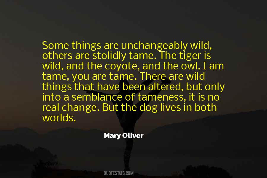 Wild Things Are Quotes #373147