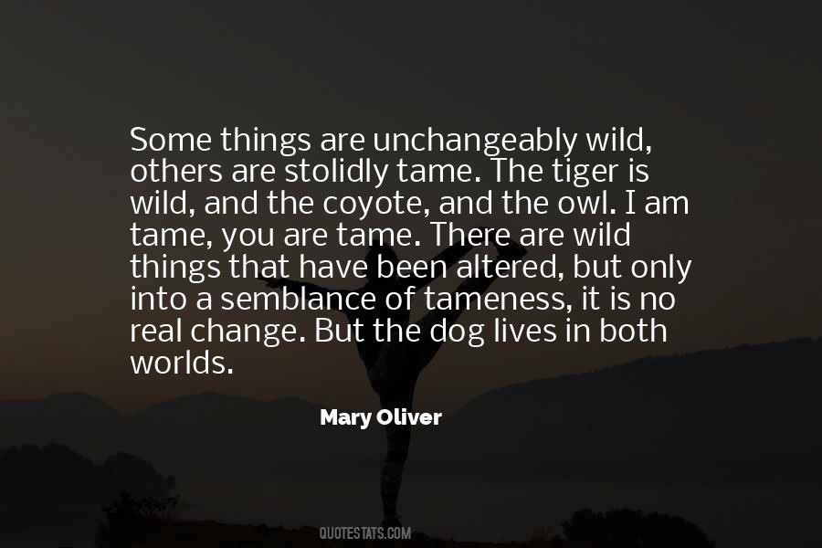 Wild Things Quotes #373147
