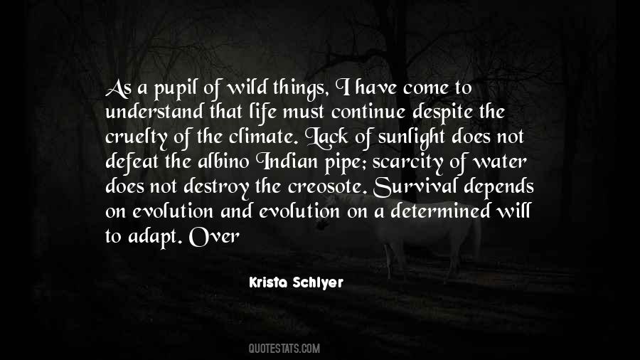 Wild Things Quotes #971951
