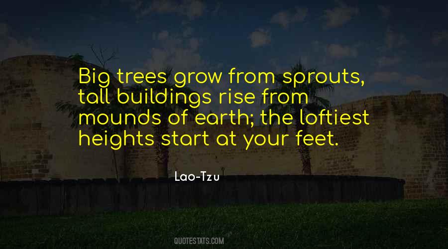 Quotes About Sprouts #68871