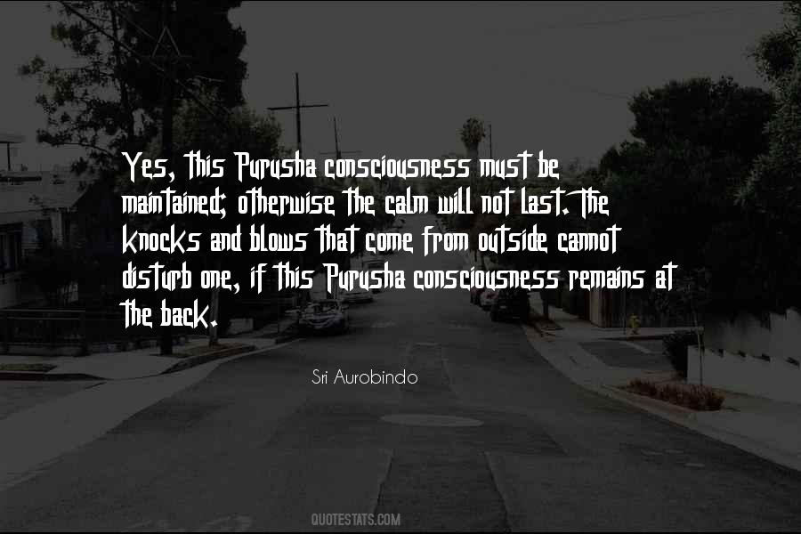 Will Not Come Back Quotes #897828