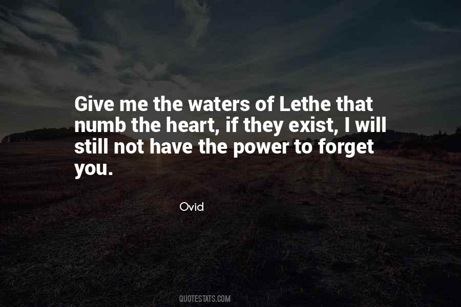 Will Not Forget You Quotes #530577