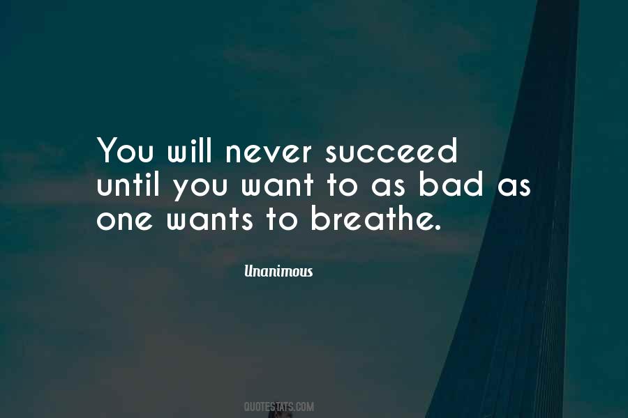 Will To Succeed Quotes #401618