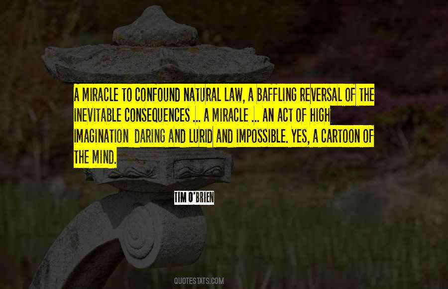 Quotes About Natural Law #571287