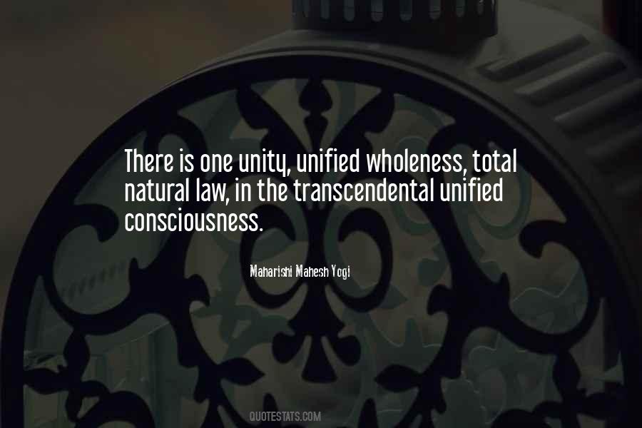 Quotes About Natural Law #818078