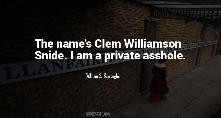 Williamson Quotes #559483