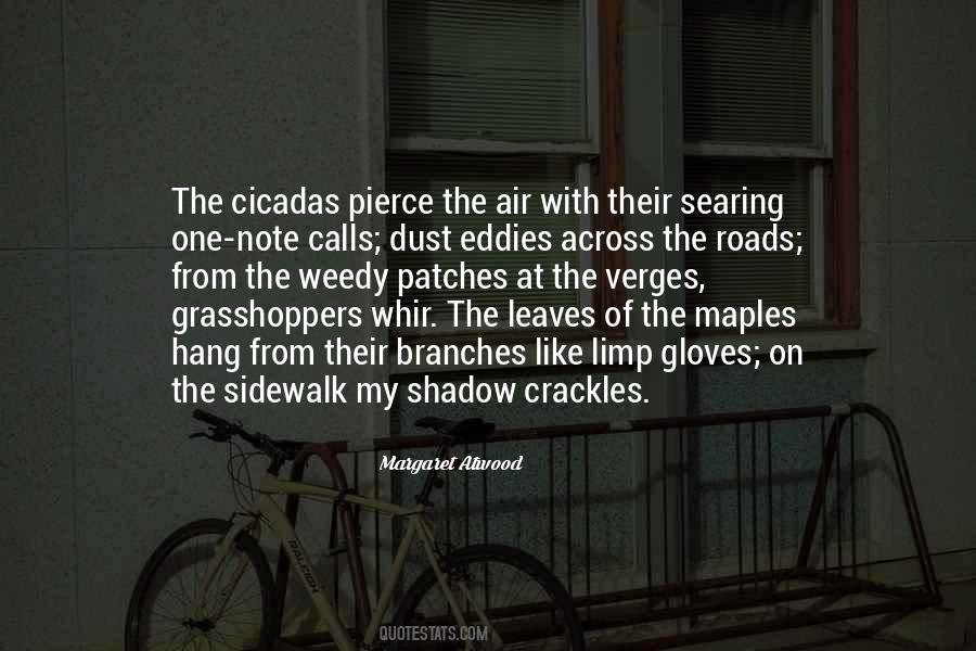 Quotes About Cicadas #307532