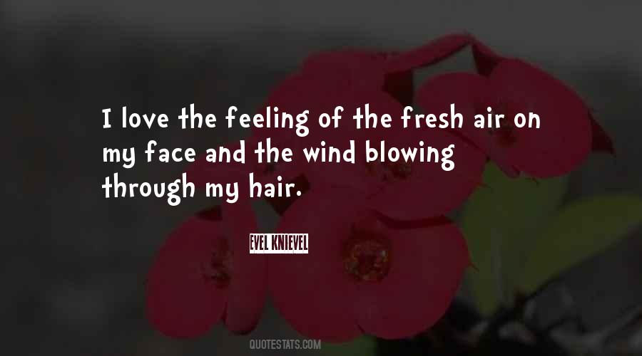 Wind Blowing Through My Hair Quotes #201220