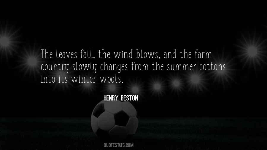 Wind Blows Quotes #571215