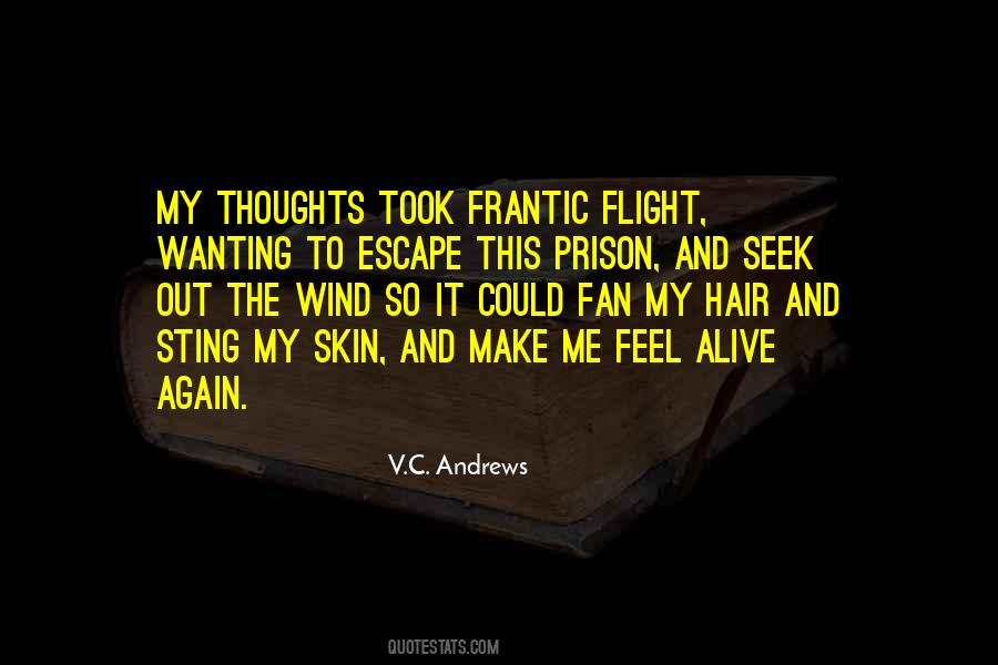 Wind Hair Quotes #589216