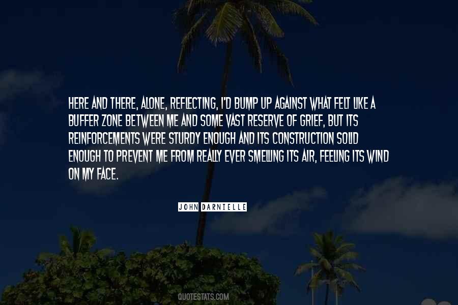 Wind In My Face Quotes #42537